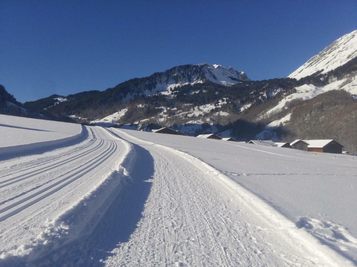 Gaestehaus Pfandl Au (Vorarlberg) Exteriér fotografie